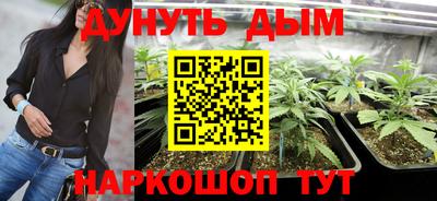 шишки Партизанск
