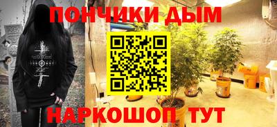 шишки Партизанск