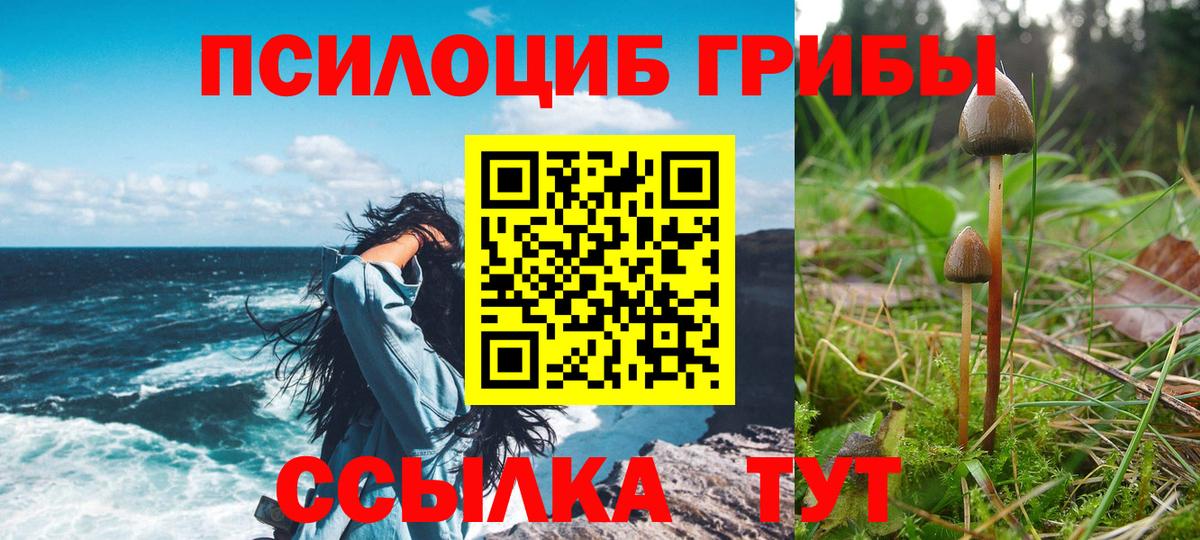 Псилоцибиновые грибы мухоморы  Вход с VPN  Реж 
